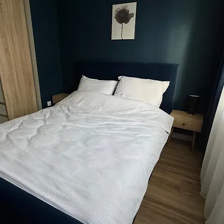 Rocha 159 - Blisko Jasnej Gory Free Parking Apartment *