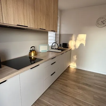 Apartment Rocha 159 - Blisko Jasnej Gory Free Parking Częstochowa